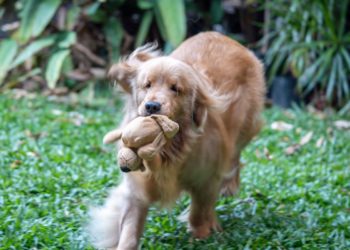 Yahoo lifestyle home