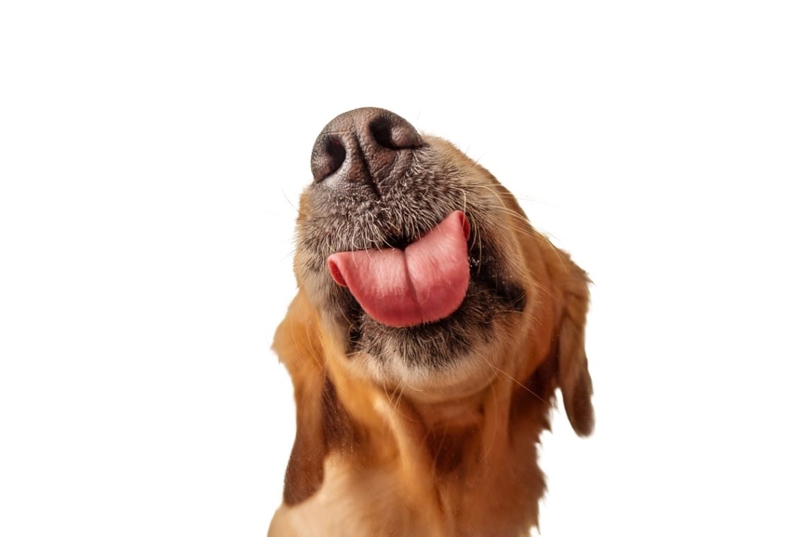 Yahoo lifestyle home