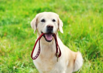 Yahoo lifestyle home