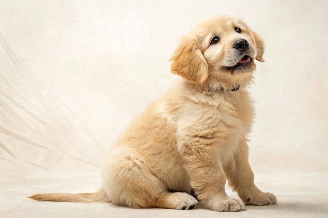 Yahoo lifestyle home