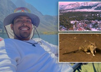 Hotel employee, 26, dies of rare rat-linked virus that killed Gene Hackman’s wife: report