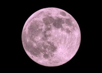 How to Watch This Weekend’s Pink Moon—The First Full Micromoon of 2025