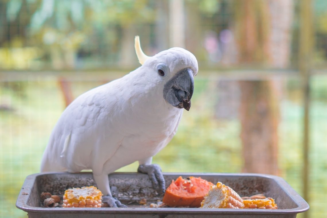 Yahoo lifestyle home