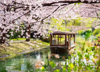 Yahoo lifestyle home