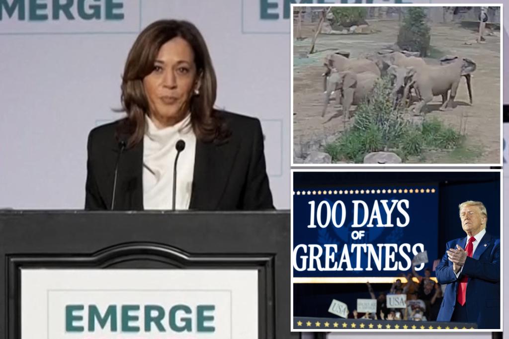 Kamala Harris bizarrely references viral elephant video in speech attacking Trump’s ‘vision for America’ after first 100 days: ‘Google it’