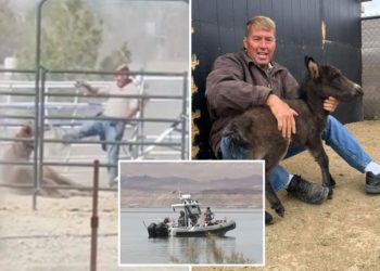 Las Vegas veterinarian who filmed kicking horse in the face found dead in Lake Mead — weeks after disappearance