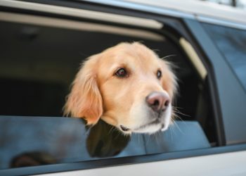 Yahoo lifestyle home