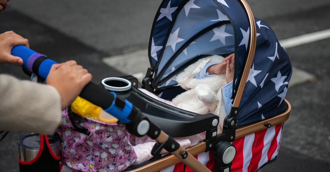 MAGA Pronatalism Is Doomed to Fail