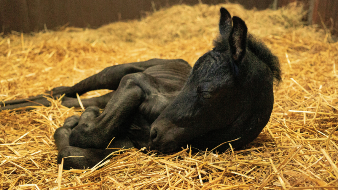 Yahoo lifestyle home