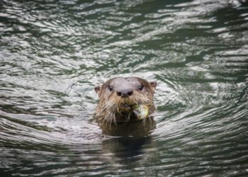 Yahoo lifestyle home