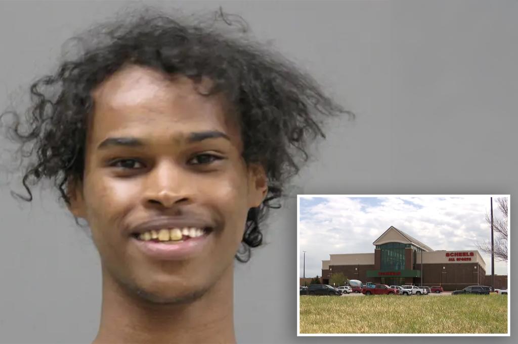 Minnesota shoplifting bust narrowly thwarts potential mass-shooting planned by suspect: ‘Deathtoamerikka’