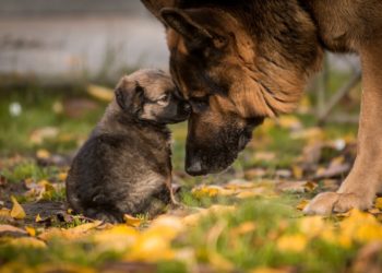 Yahoo lifestyle home