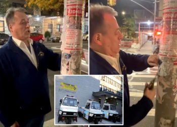 NYC precinct council prez Robert Josman resigns after fury over removing Israeli hostage posters