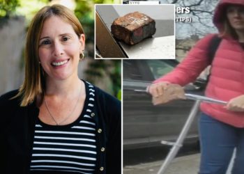 NYC woman who left swastika brick on Cybertruck is a woke therapist who blamed Elon Musk for tantrum