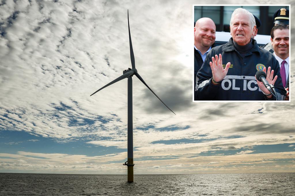 Nassau County exec to launch campaign against green energy initiatives like windmills, lithium-ion battery facilities