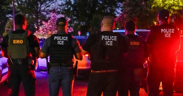 New York’s Mary Rosado Latest Judge with Democrat Activist Resume to Halt Trump Agenda