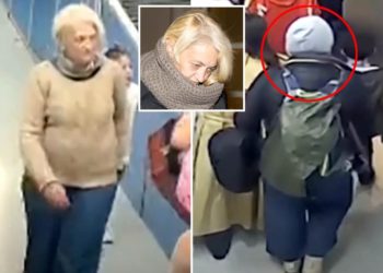 New footage shows how unhinged Russian JFK stowaway Svetlana Dali slipped past TSA, gate agents to board Paris-bound Delta flight