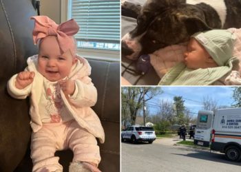 Ohio baby killed by family pit bull as grieving mother laments: ‘I will never understand why’