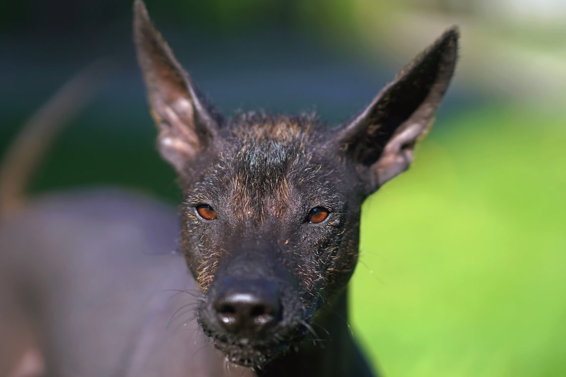 Yahoo lifestyle home