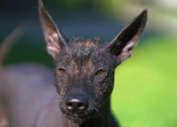 Yahoo lifestyle home