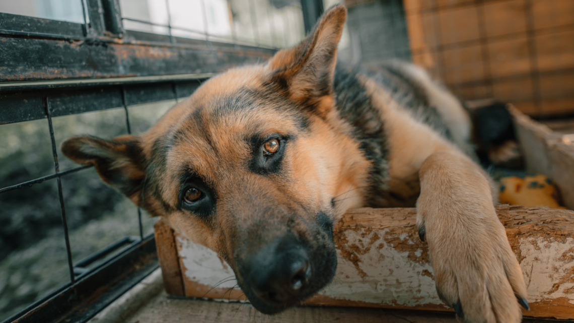 Yahoo lifestyle home