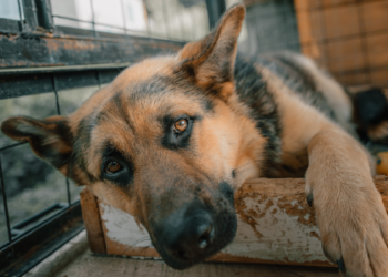 Yahoo lifestyle home