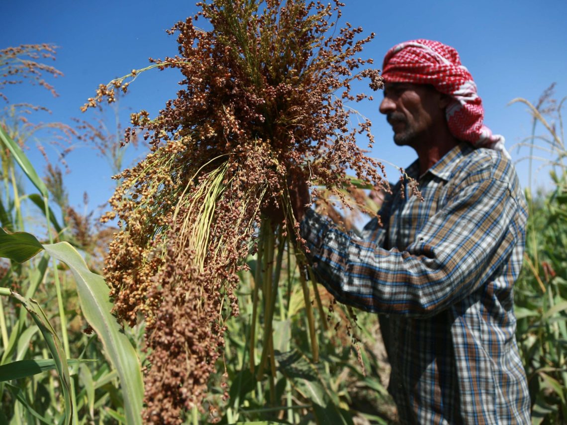 Syria’s first wheat shipment since al-Assad ouster points to recovery