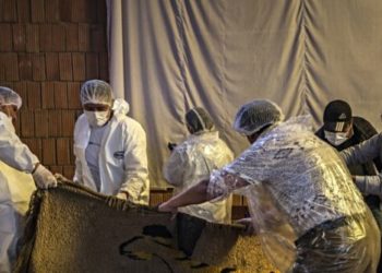 TN Bill Requires Autopsies for Mass Shooters to Search for Psychiatric Drug Links