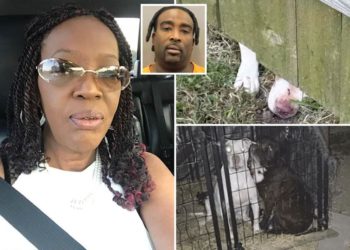 Texas man charged after 3 pit bulls fatally maul neighbor — one day after he was accused of murder