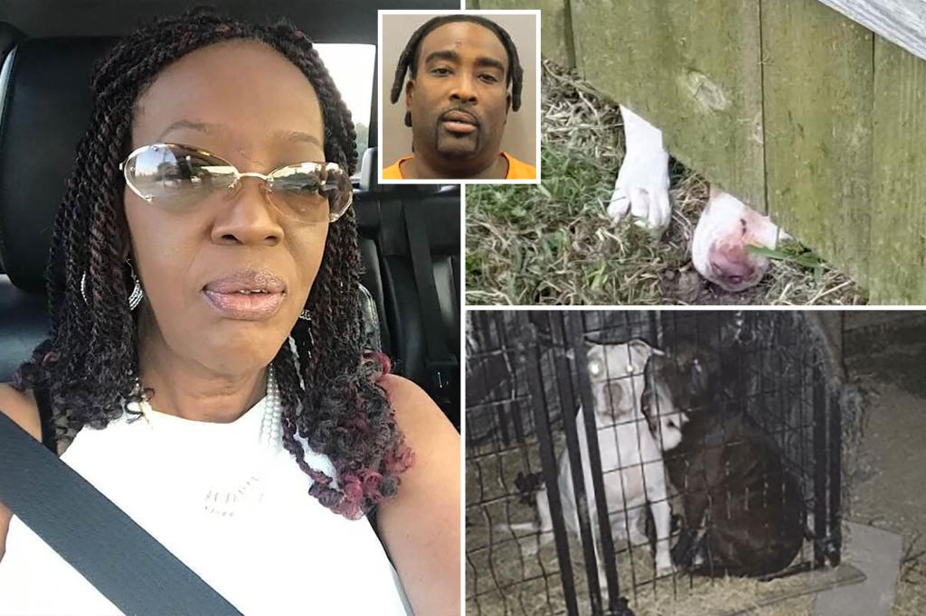 Texas man charged after 3 pit bulls fatally maul neighbor — one day after he was accused of murder