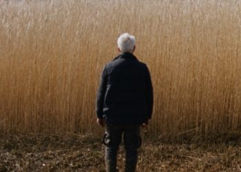 The Party Film Sales Boards Cannes Critics’ Week Title ‘Reedland’ As Drama Breaks Hiatus For Dutch-Language Features On Croisette