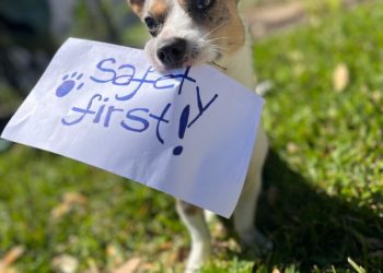 Yahoo lifestyle home