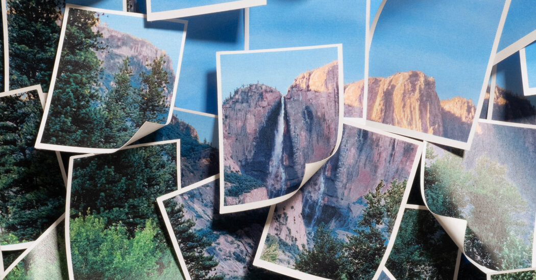 Trump Tried to Derail Our Work. We Banded Together, and Moved Forward.