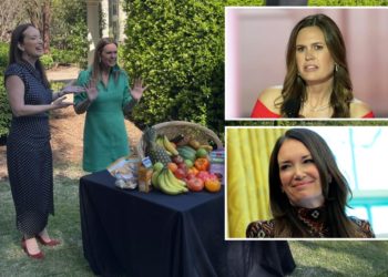 Trump admin demands crackdown on illegal immigrants’ use of taxpayer-funded food stamps