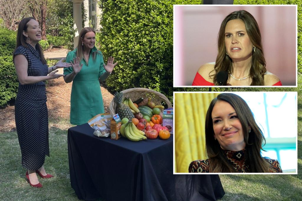 Trump admin demands crackdown on illegal immigrants’ use of taxpayer-funded food stamps