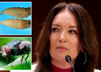 USDA threatens Mexico’s beef imports over fear of flesh-eating parasite spreading north: report