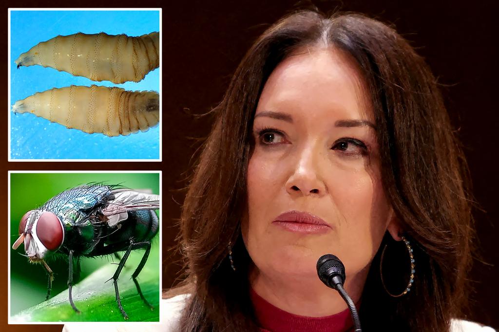 USDA threatens Mexico’s beef imports over fear of flesh-eating parasite spreading north: report