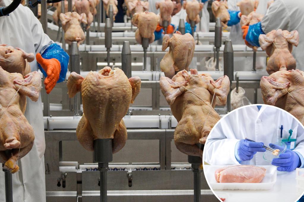 USDA withdraws plan to limit salmonella levels in raw poultry