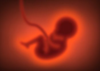 Woman Gives Birth to Baby Girl After Womb Transplant in UK First