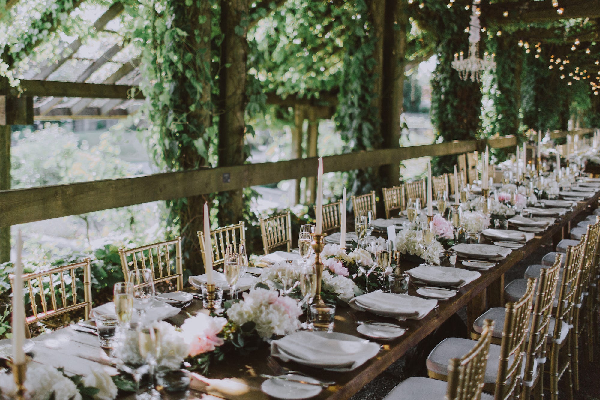 Chairs and place settings arranged below greenery at a wedding