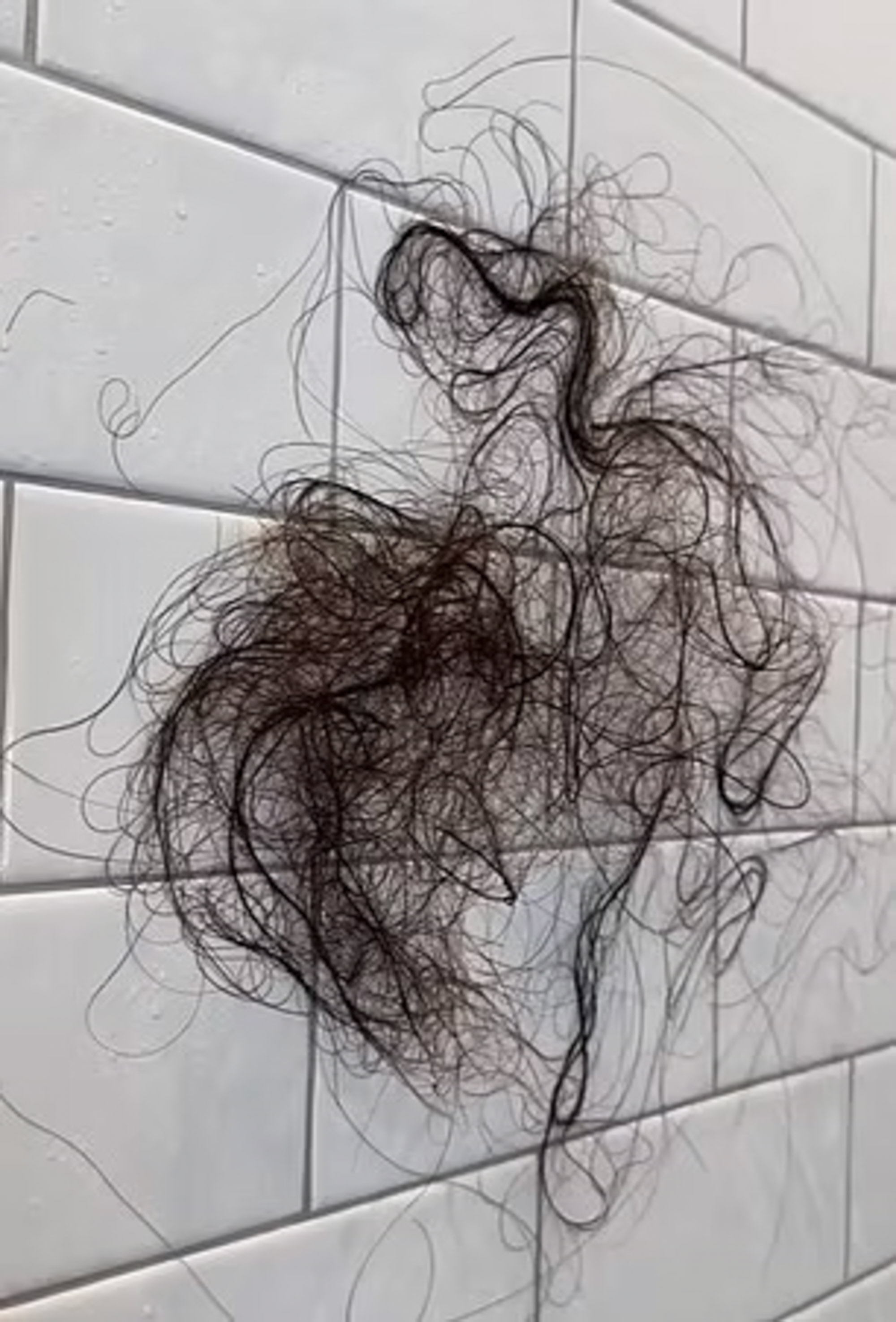 Sophia Umansky's hair on a shower wall. 