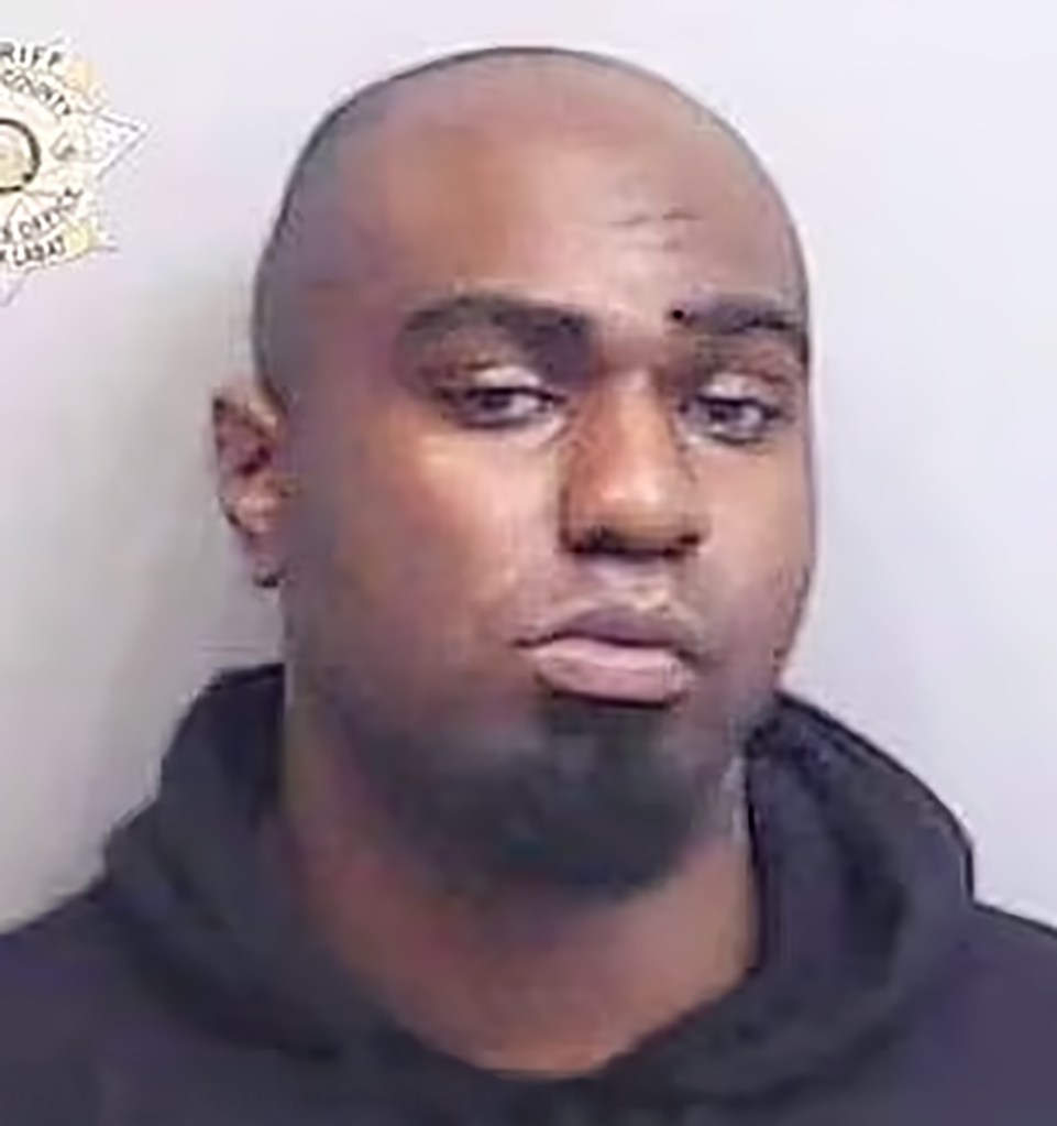 Demetrice Ross was found guilty of seven of the eight charges he faced.