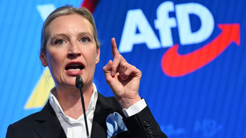 Alice Weidel of the AfD has garnered support from President Donald Trump.