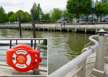 Good Samaritan attempts Hudson River rescue — but ended up needing to be rescued himself: cops