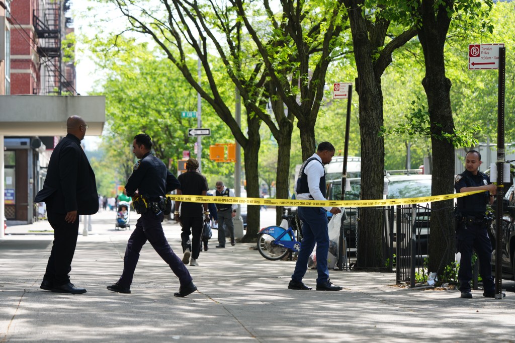The shots were fired near Malcolm X Boulevard, the same street where a 61-year-old woman was killed by a stray bullet last month.