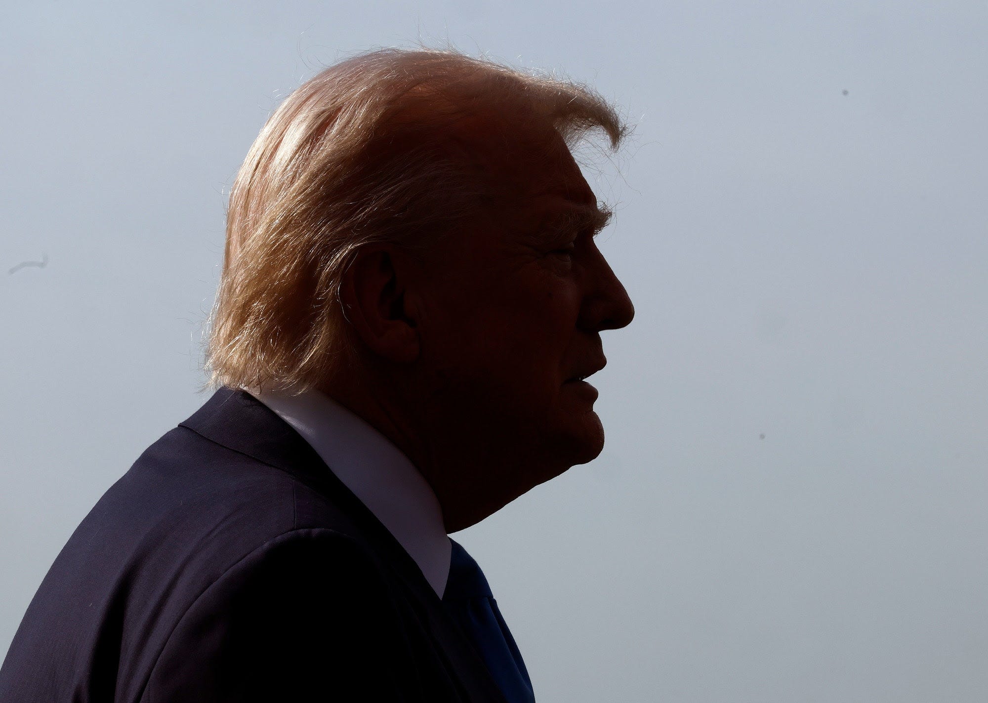 Trump profile