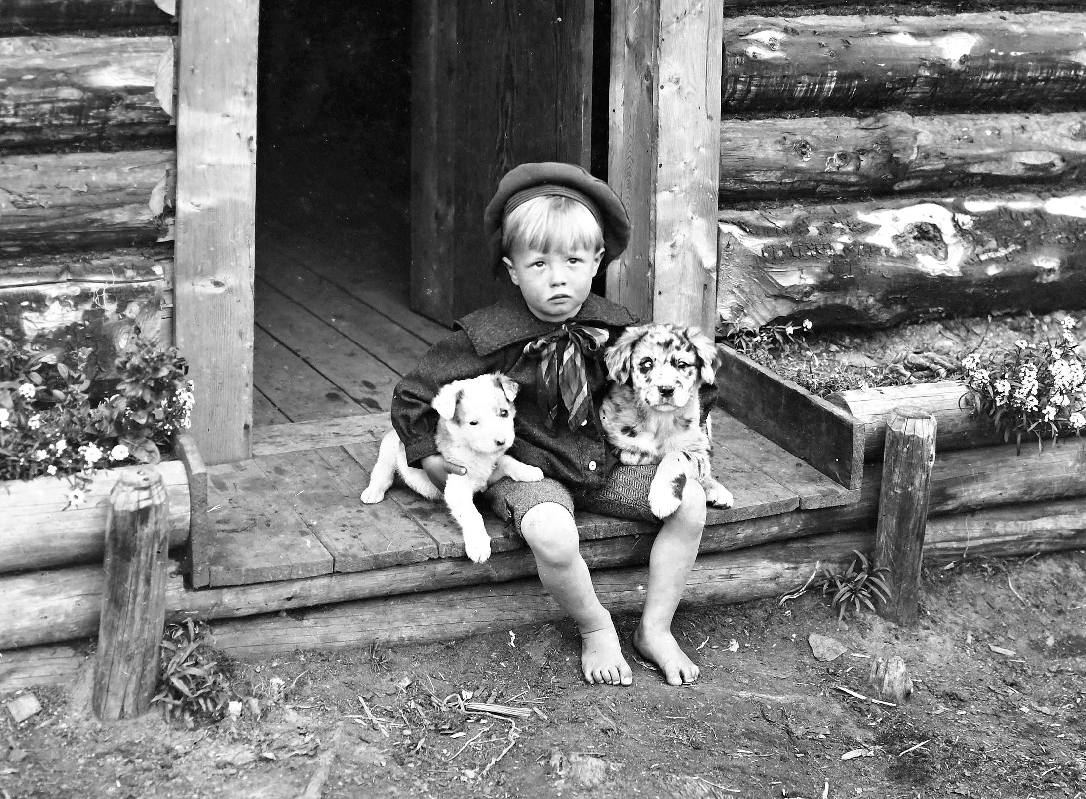 A young boy sits with two puppies on a porch step.