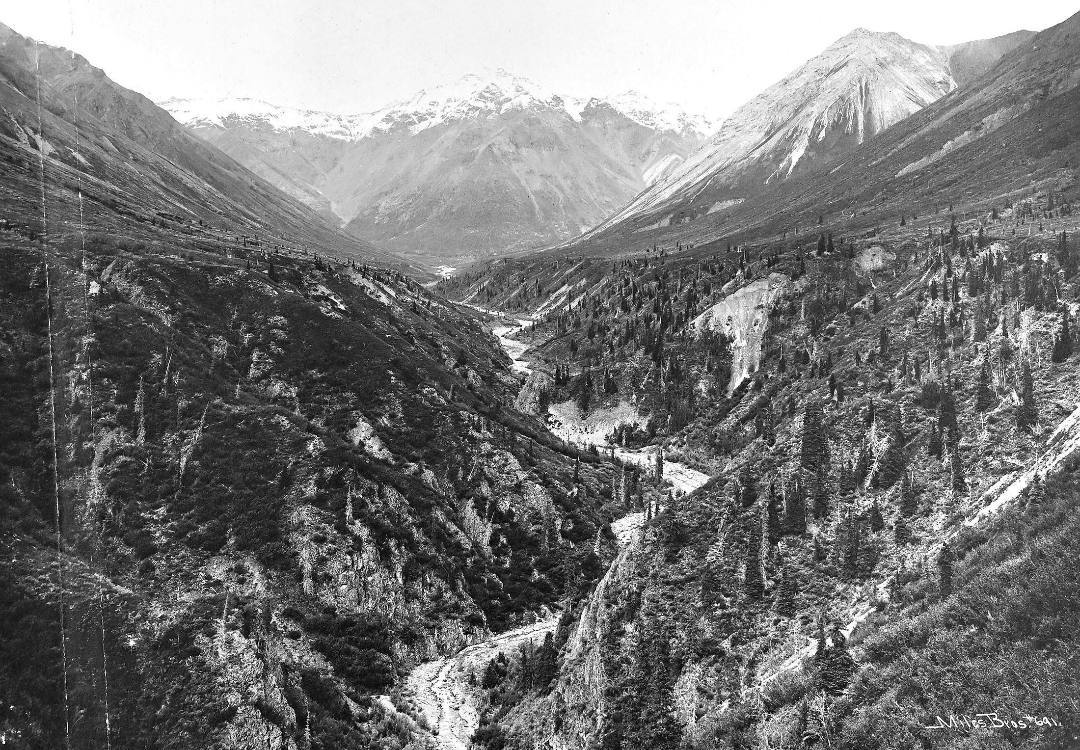 A broad view of a narrow mountain valley and stream.