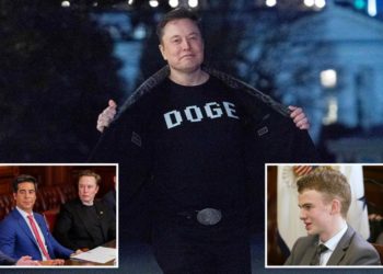 Musk brings out ‘Big Balls’ to explain what teen does at DOGE