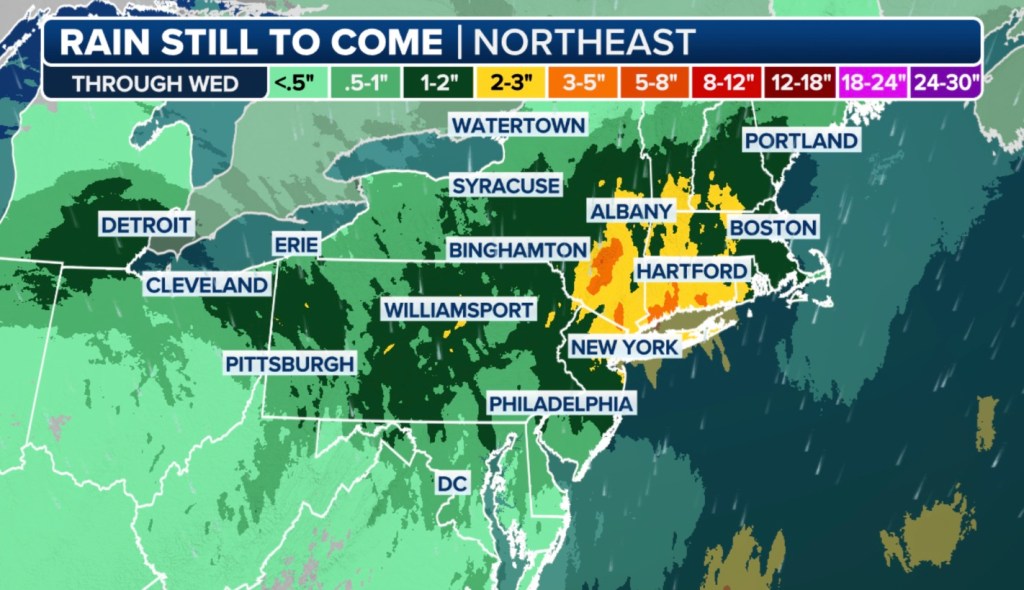 The rainfall forecast in the Northeast.